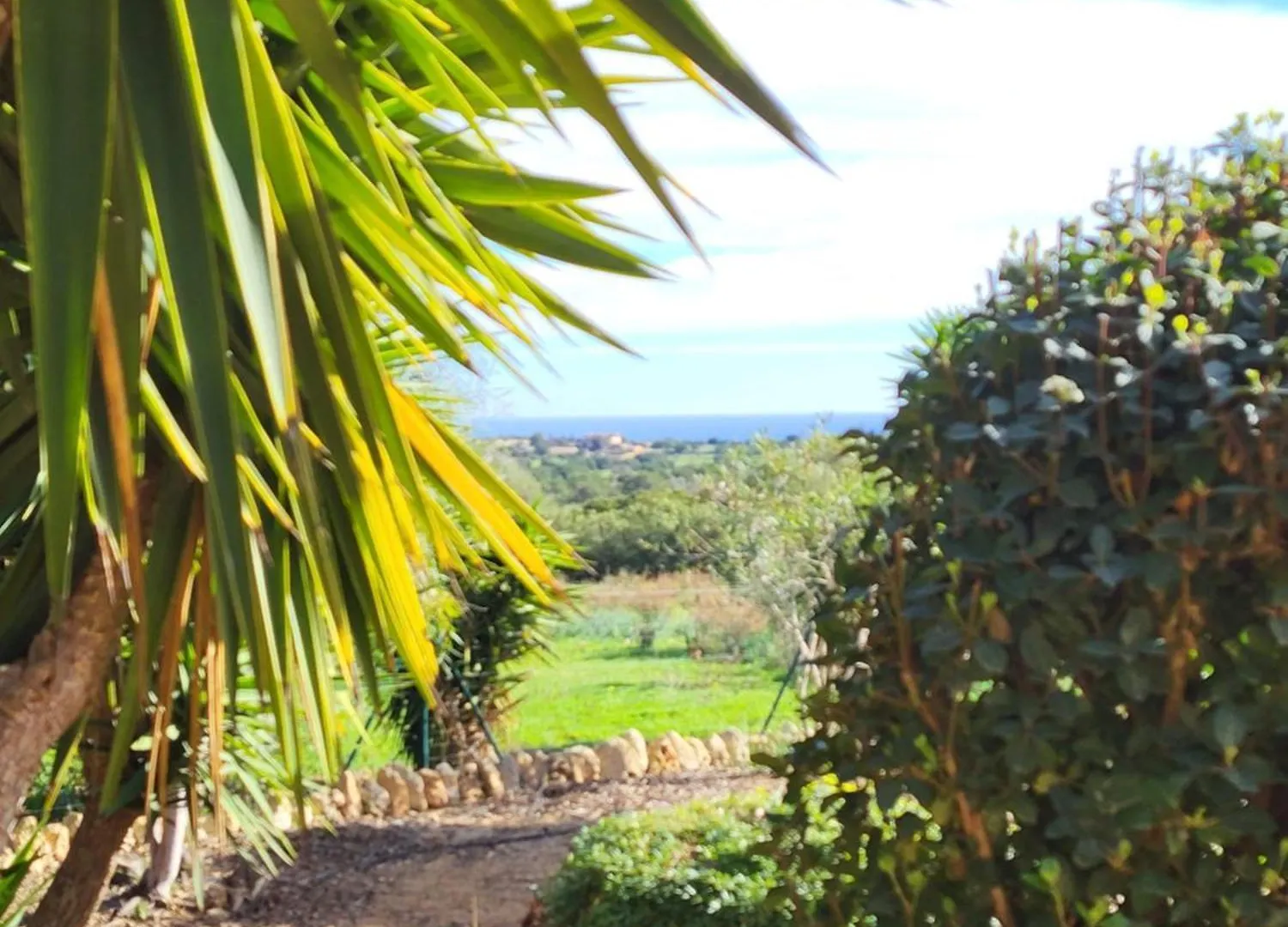 Vila Casa En Cala Varques Vacation Permit Manacor